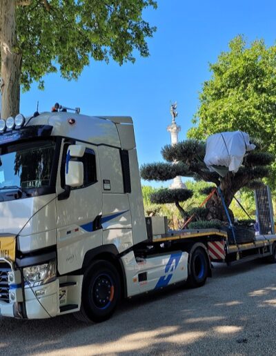 Transport Frigorifiques Nicolas Saint André de Cubzac